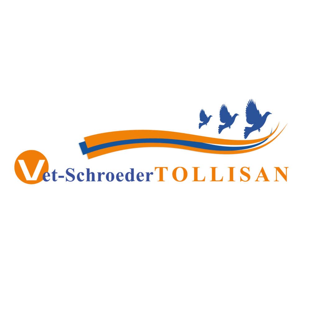 VET-SCHROEDER + TOLLISAN